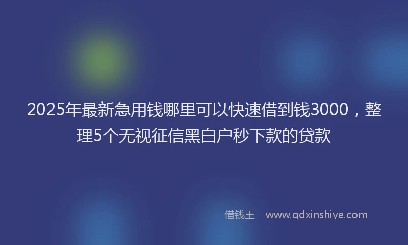 2025年最新急用钱哪里可以快速借到钱3000，整理5个无视征信黑白户秒下款的贷款