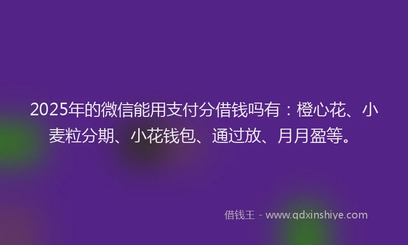 2025年的微信能用支付分借钱吗有：橙心花、小麦粒分期、小花钱包、通过放、月月盈等。