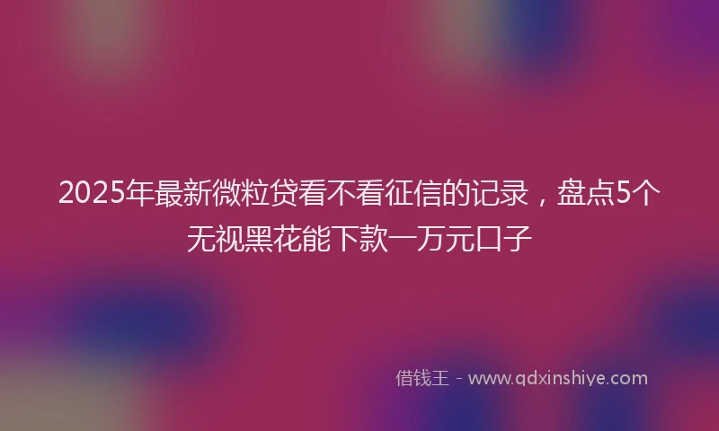 2025年最新微粒贷看不看征信的记录，盘点5个无视黑花能下款一万元口子