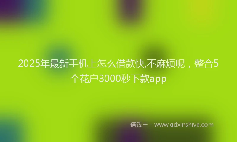 2025年最新手机上怎么借款快,不麻烦呢，整合5个花户3000秒下款app