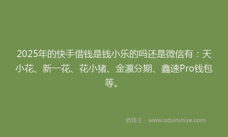 2025年的快手借钱是钱小乐的吗还是微信有：天小花、新一花、花小猪、金瀛分期、鑫速Pro钱包等。