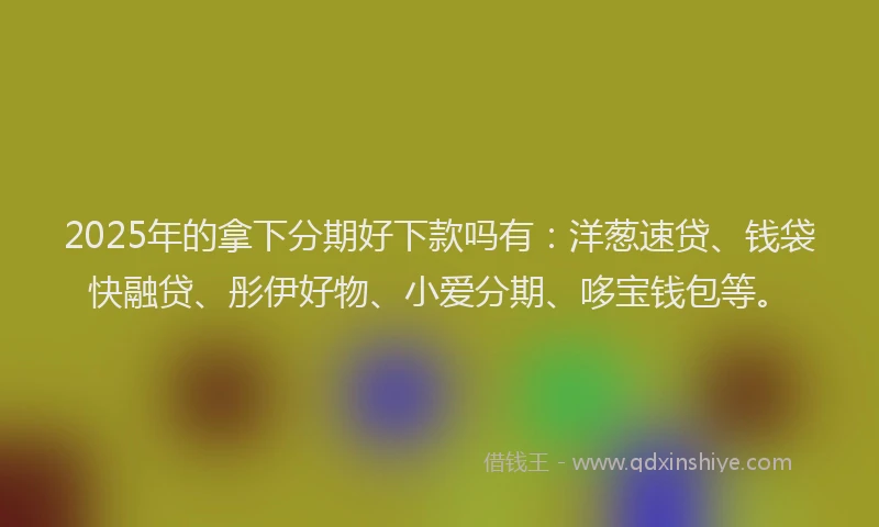 2025年的拿下分期好下款吗有：洋葱速贷、钱袋快融贷、彤伊好物、小爱分期、哆宝钱包等。