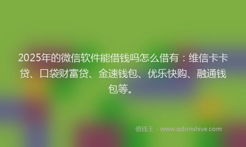 2025年的微信软件能借钱吗怎么借有：维信卡卡贷、口袋财富贷、金速钱包、优乐快购、融通钱包等。