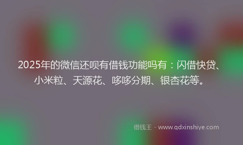2025年的微信还呗有借钱功能吗有：闪借快贷、小米粒、天源花、哆哆分期、银杏花等。