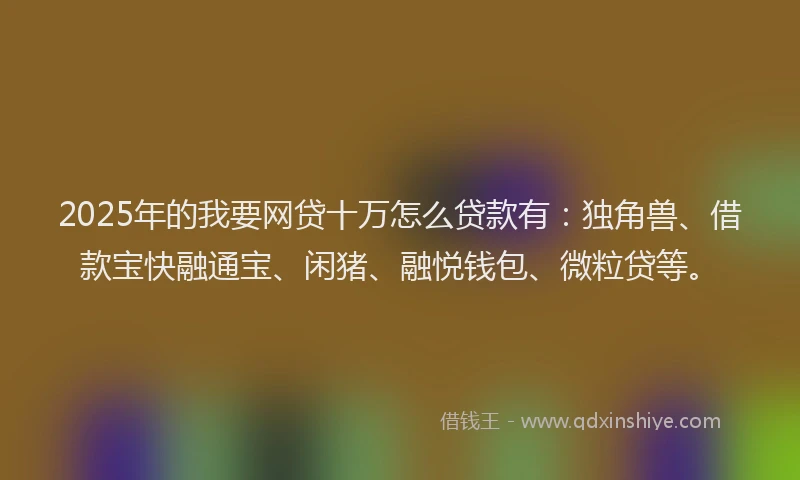 2025年的我要网贷十万怎么贷款有:独角兽、借款宝快融通宝、闲猪、融悦钱包、微粒贷等。