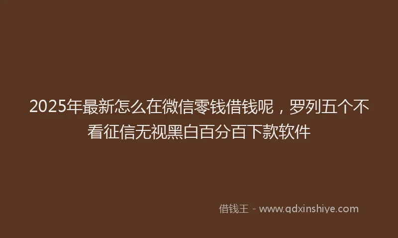 2025年最新怎么在微信零钱借钱呢，罗列五个不看征信无视黑白百分百下款软件