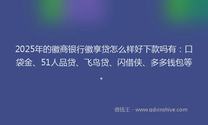 2025年的徽商银行徽享贷怎么样好下款吗有：口袋金、51人品贷、飞鸟贷、闪借侠、多多钱包等。