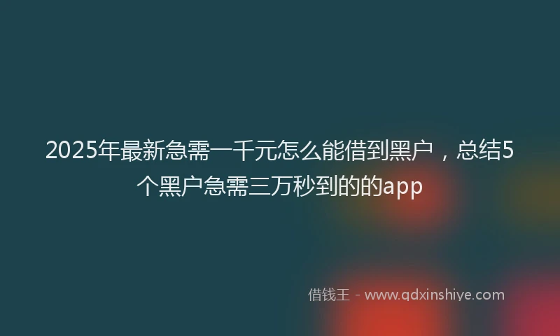 2025年最新急需一千元怎么能借到黑户，总结5个黑户急需三万秒到的的app
