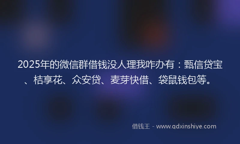 2025年的微信群借钱没人理我咋办有：甄信贷宝、桔享花、众安贷、麦芽快借、袋鼠钱包等。