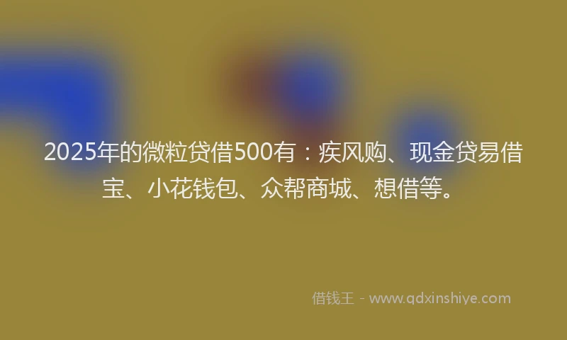 2025年的微粒贷借500有：疾风购、现金贷易借宝、小花钱包、众帮商城、想借等。