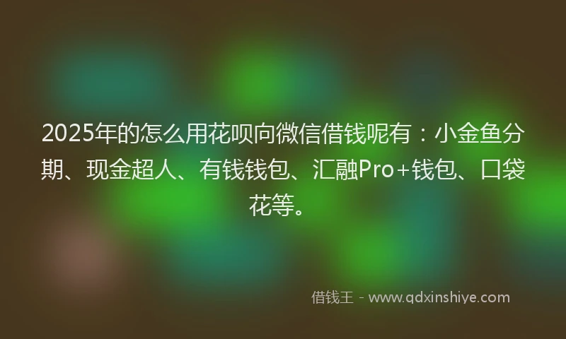 2025年的怎么用花呗向微信借钱呢有：小金鱼分期、现金超人、有钱钱包、汇融Pro+钱包、口袋花等。
