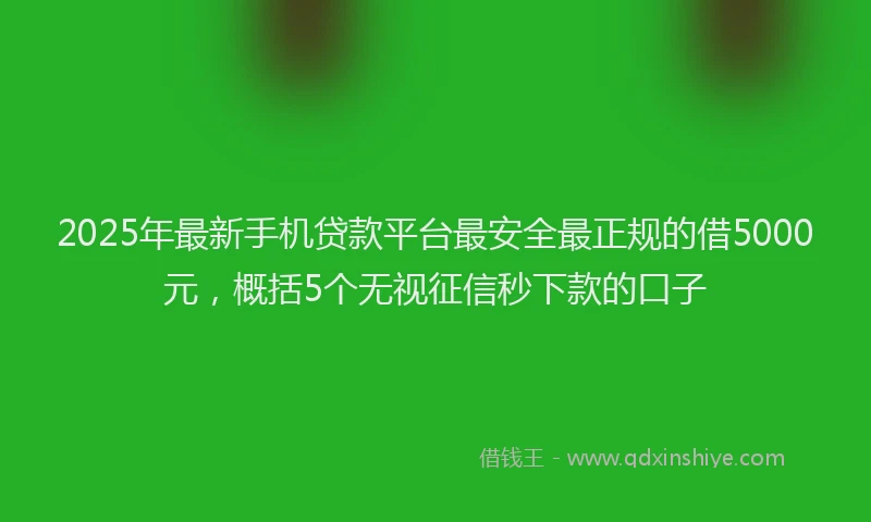 2025年最新手机贷款平台最安全最正规的借5000元，概括5个无视征信秒下款的口子
