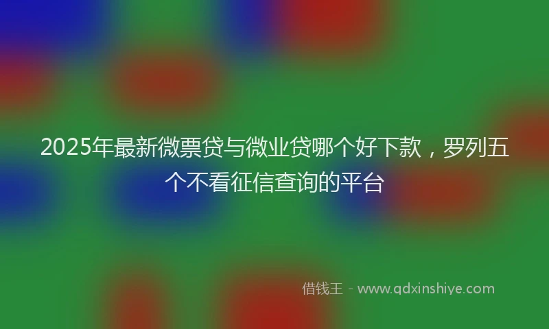 2025年最新微票贷与微业贷哪个好下款，罗列五个不看征信查询的平台