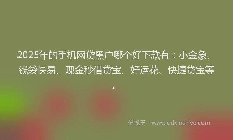 2025年的手机网贷黑户哪个好下款有：小金象、钱袋快易、现金秒借贷宝、好运花、快捷贷宝等。