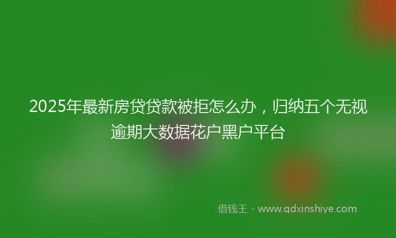 2025年最新房贷贷款被拒怎么办，归纳五个无视逾期大数据花户黑户平台