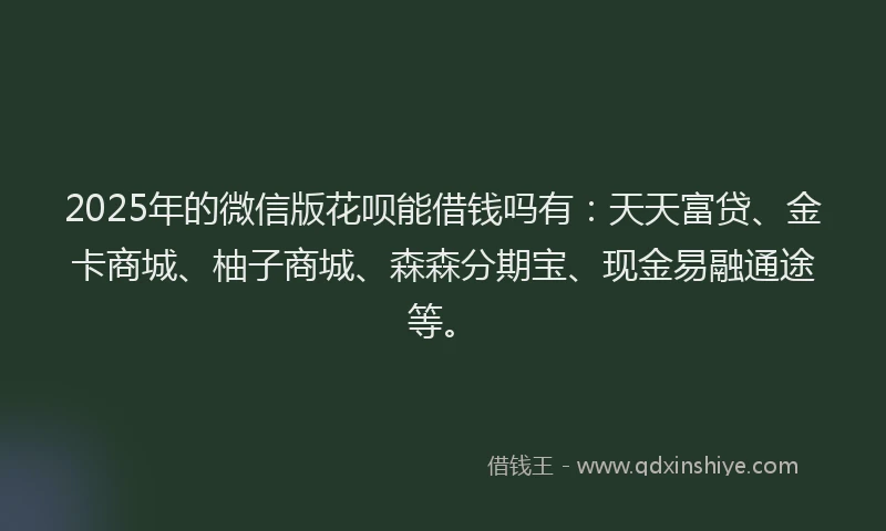 2025年的微信版花呗能借钱吗有：天天富贷、金卡商城、柚子商城、森森分期宝、现金易融通途等。