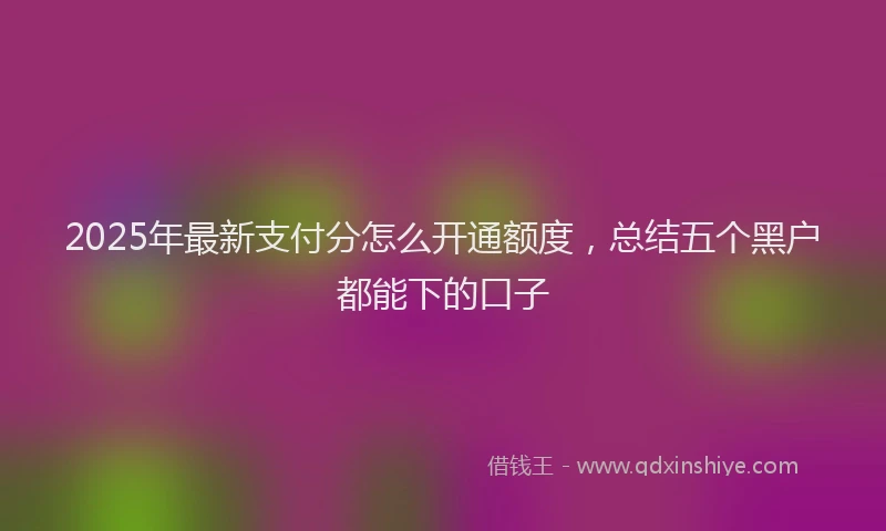 2025年最新支付分怎么开通额度，总结五个黑户都能下的口子