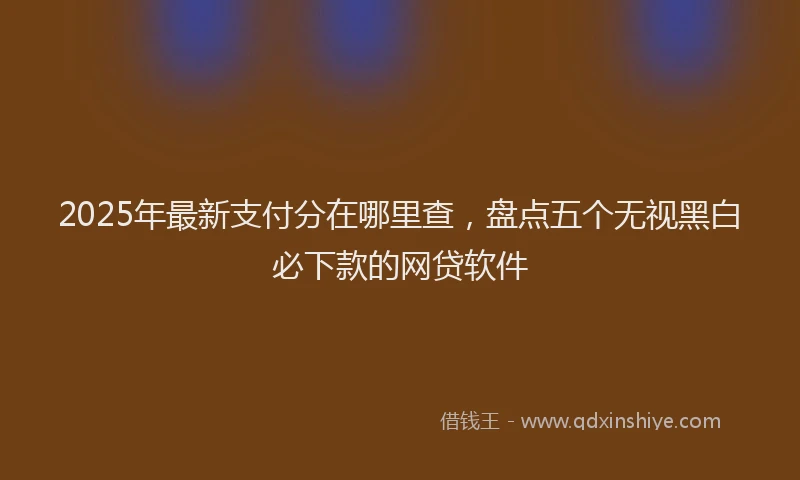 2025年最新支付分在哪里查，盘点五个无视黑白必下款的网贷软件