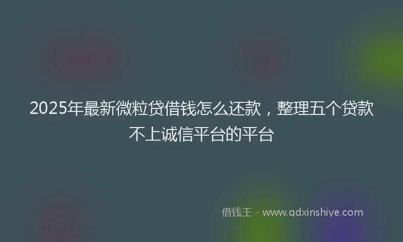 2025年最新微粒贷借钱怎么还款，整理五个贷款不上诚信平台的平台
