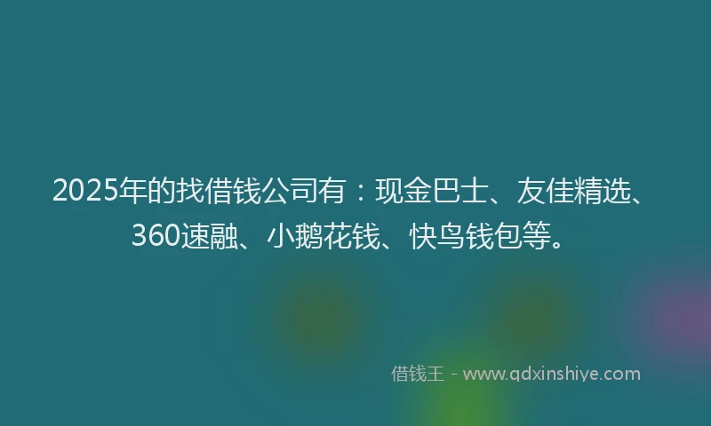 2025年的找借钱公司有：现金巴士、友佳精选、360速融、小鹅花钱、快鸟钱包等。