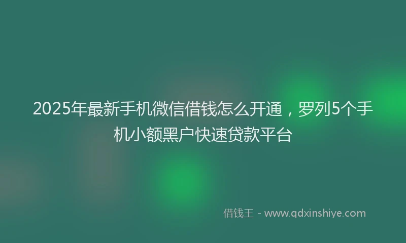 2025年最新手机微信借钱怎么开通，罗列5个手机小额黑户快速贷款平台