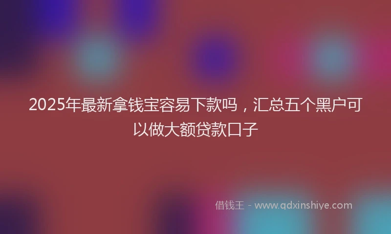 2025年最新拿钱宝容易下款吗，汇总五个黑户可以做大额贷款口子