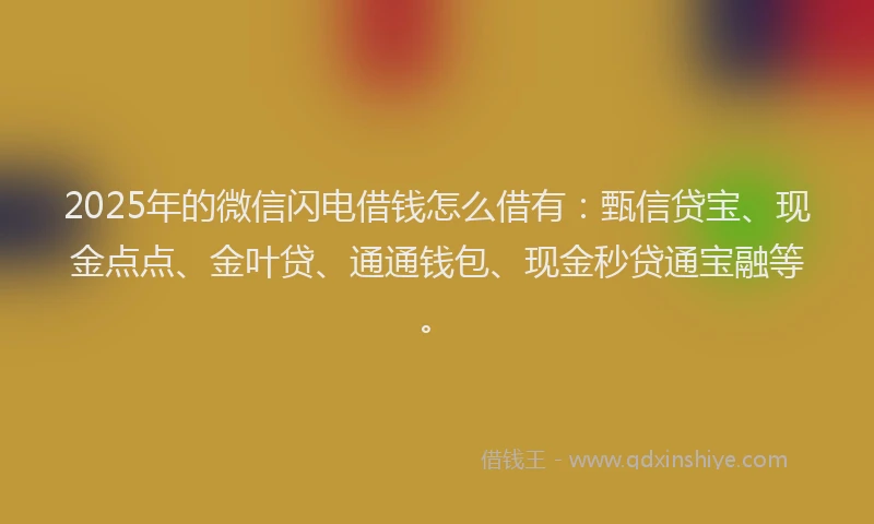 2025年的微信闪电借钱怎么借有：甄信贷宝、现金点点、金叶贷、通通钱包、现金秒贷通宝融等。