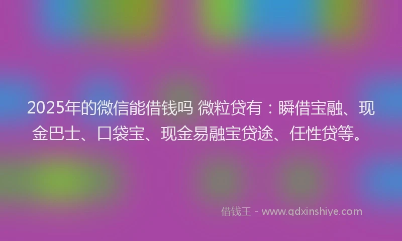 2025年的微信能借钱吗 微粒贷有：瞬借宝融、现金巴士、口袋宝、现金易融宝贷途、任性贷等。