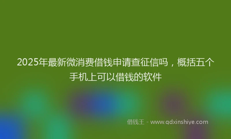 2025年最新微消费借钱申请查征信吗，概括五个手机上可以借钱的软件