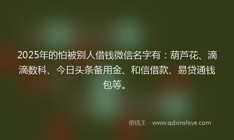 2025年的怕被别人借钱微信名字有：葫芦花、滴滴数科、今日头条备用金、和信借款、易贷通钱包等。
