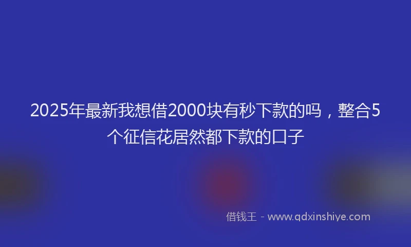 2025年最新我想借2000块有秒下款的吗，整合5个征信花居然都下款的口子