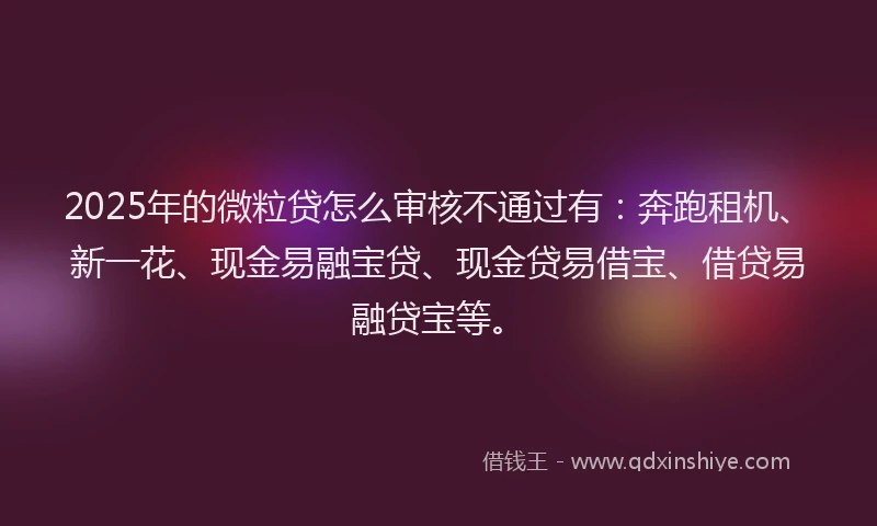 2025年的微粒贷怎么审核不通过有：奔跑租机、新一花、现金易融宝贷、现金贷易借宝、借贷易融贷宝等。