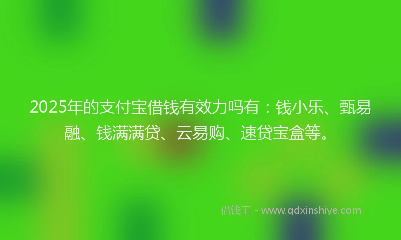 2025年的支付宝借钱有效力吗有：钱小乐、甄易融、钱满满贷、云易购、速贷宝盒等。