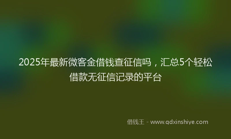 2025年最新微客金借钱查征信吗，汇总5个轻松借款无征信记录的平台