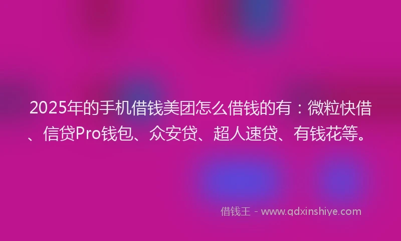 2025年的手机借钱美团怎么借钱的有：微粒快借、信贷Pro钱包、众安贷、超人速贷、有钱花等。