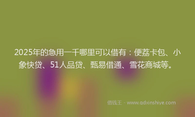 2025年的急用一千哪里可以借有：便荔卡包、小象快贷、51人品贷、甄易借通、雪花商城等。