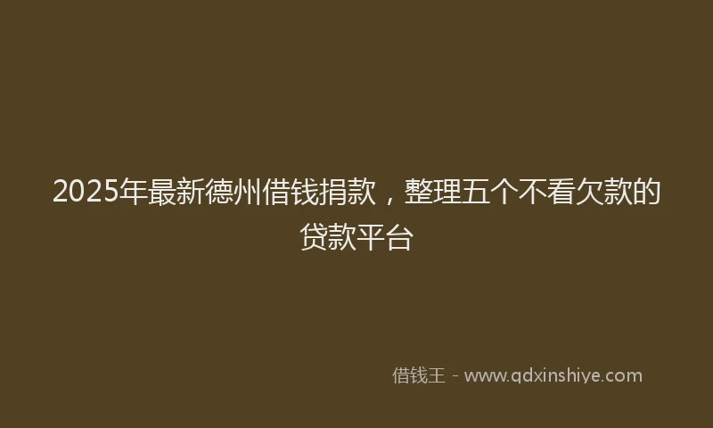 2025年最新德州借钱捐款，整理五个不看欠款的贷款平台