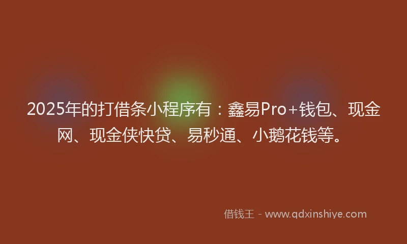 2025年的打借条小程序有：鑫易Pro+钱包、现金网、现金侠快贷、易秒通、小鹅花钱等。