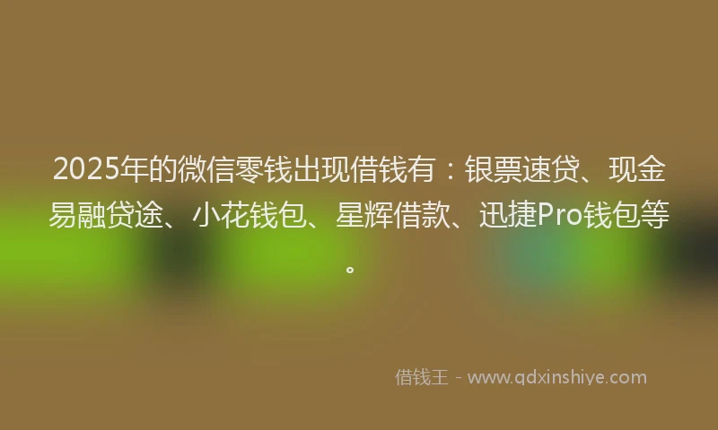 2025年的微信零钱出现借钱有：银票速贷、现金易融贷途、小花钱包、星辉借款、迅捷Pro钱包等。