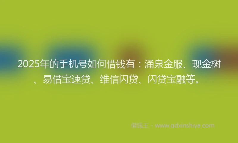 2025年的手机号如何借钱有：涌泉金服、现金树、易借宝速贷、维信闪贷、闪贷宝融等。