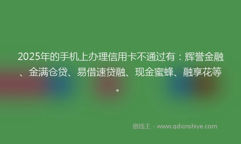 2025年的手机上办理信用卡不通过有：辉誉金融、金满仓贷、易借速贷融、现金蜜蜂、融享花等。