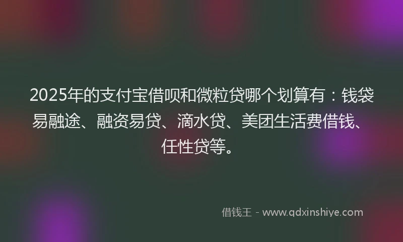 2025年的支付宝借呗和微粒贷哪个划算有：钱袋易融途、融资易贷、滴水贷、美团生活费借钱、任性贷等。