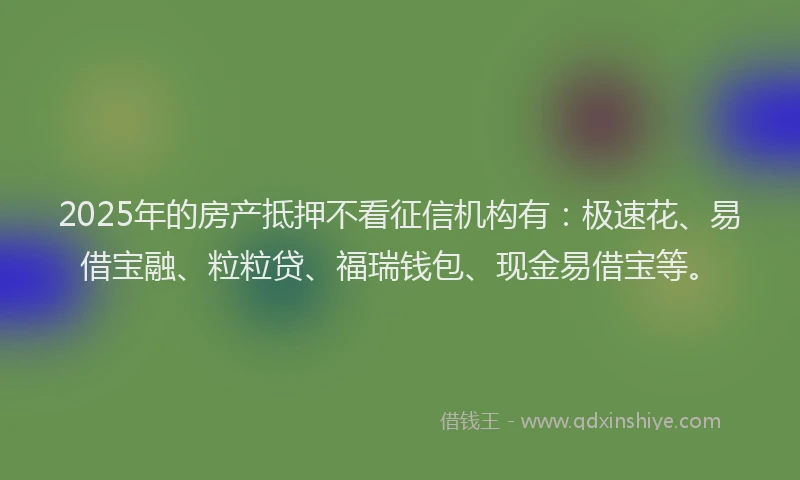2025年的房产抵押不看征信机构有：极速花、易借宝融、粒粒贷、福瑞钱包、现金易借宝等。