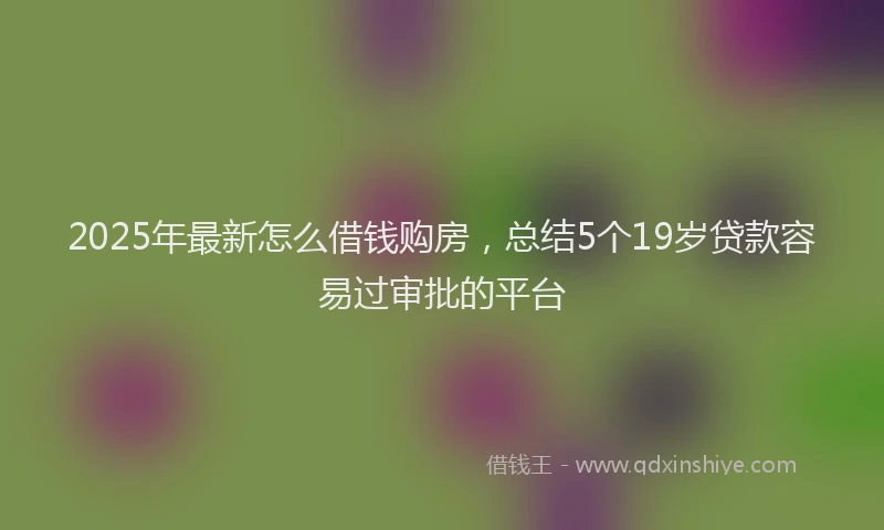 2025年最新怎么借钱购房，总结5个19岁贷款容易过审批的平台