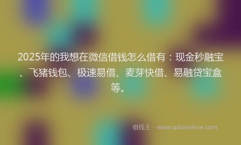 2025年的我想在微信借钱怎么借有：现金秒融宝、飞猪钱包、极速易借、麦芽快借、易融贷宝盒等。