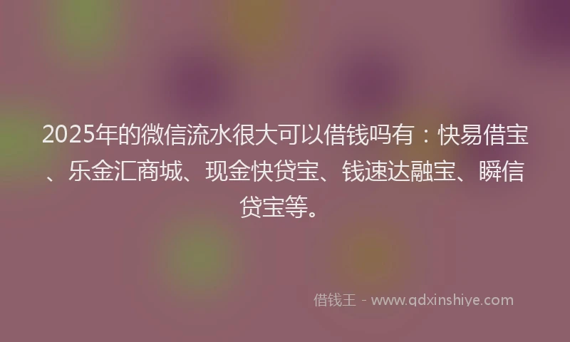 2025年的微信流水很大可以借钱吗有：快易借宝、乐金汇商城、现金快贷宝、钱速达融宝、瞬信贷宝等。