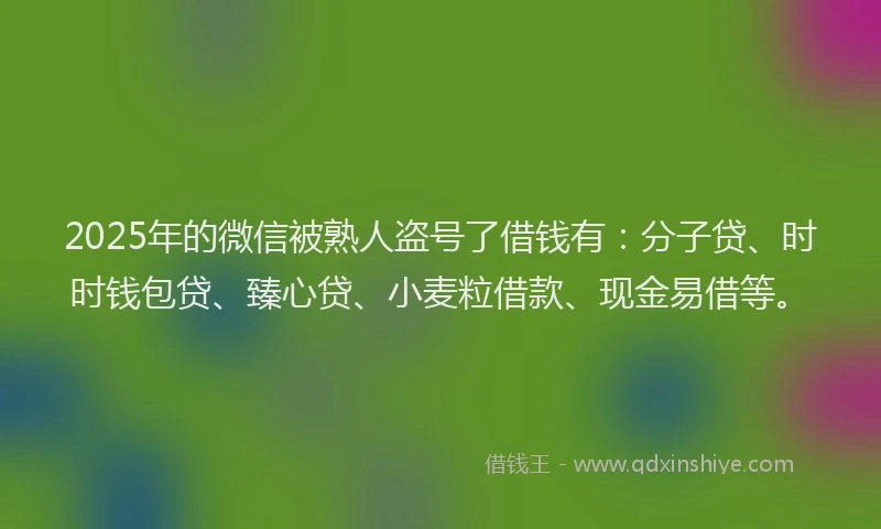 2025年的微信被熟人盗号了借钱有：分子贷、时时钱包贷、臻心贷、小麦粒借款、现金易借等。