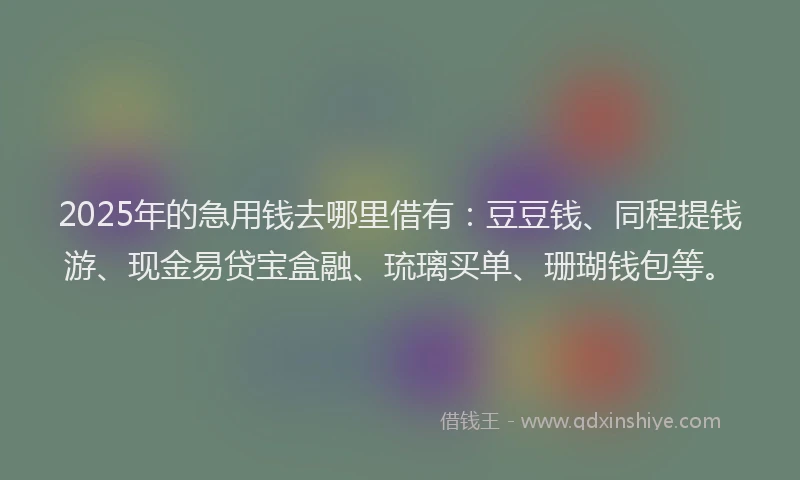 2025年的急用钱去哪里借有：豆豆钱、同程提钱游、现金易贷宝盒融、琉璃买单、珊瑚钱包等。