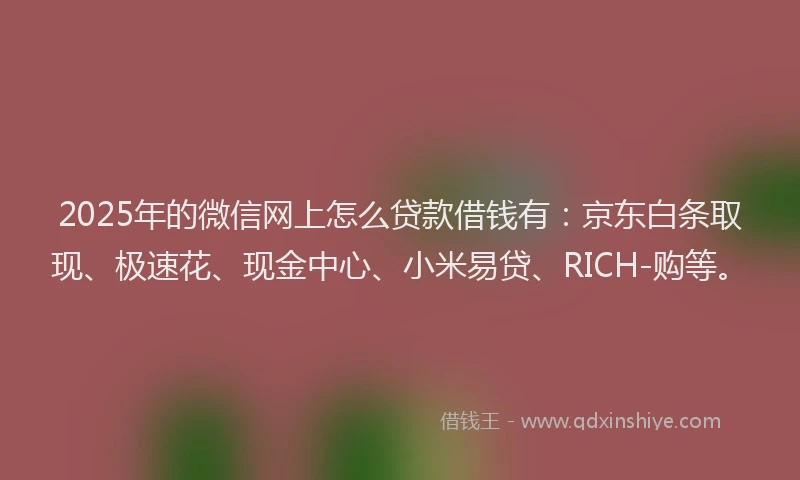 2025年的微信网上怎么贷款借钱有：京东白条取现、极速花、现金中心、小米易贷、RICH-购等。