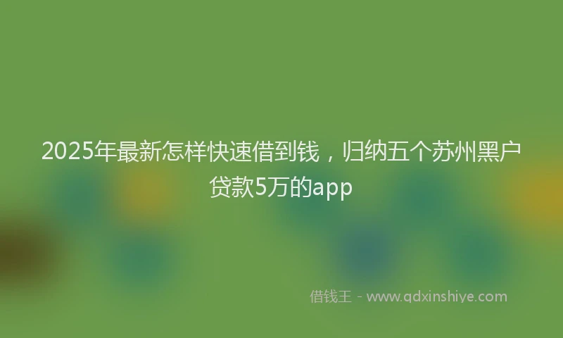 2025年最新怎样快速借到钱，归纳五个苏州黑户贷款5万的app